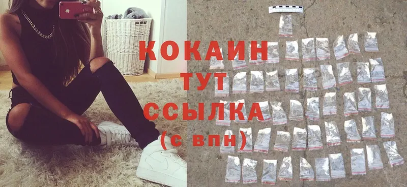 магазин продажи наркотиков  Билибино  COCAIN Fish Scale 